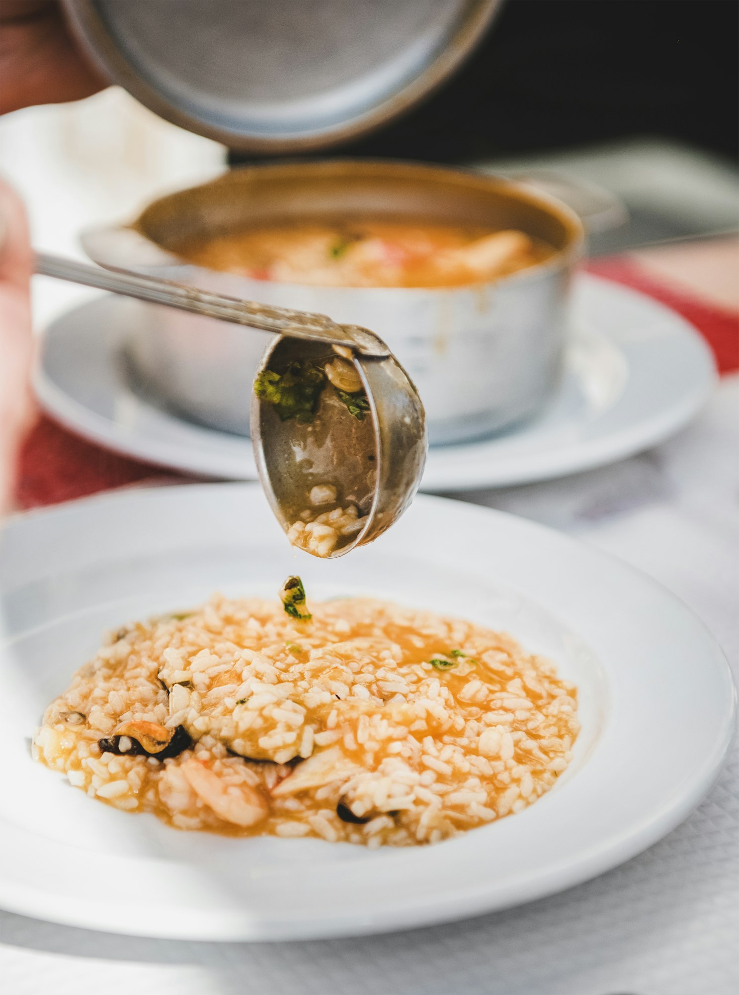 Plate with Portuguese traditional dish with seafood and rice